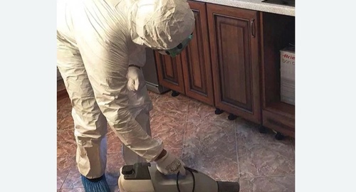 Уничтожение тараканов в квартире. Владивосток